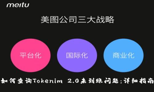 如何查询Tokenim 2.0未到账问题：详细指南