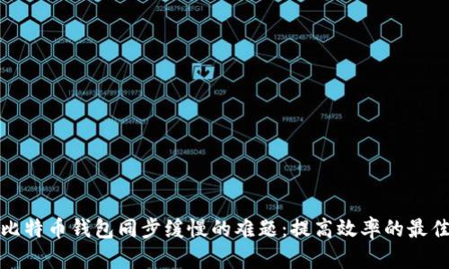 破解比特币钱包同步缓慢的难题：提高效率的最佳实践