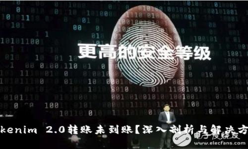Tokenim 2.0转账未到账？深入剖析与解决方案