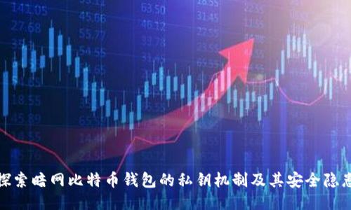 探索暗网比特币钱包的私钥机制及其安全隐患