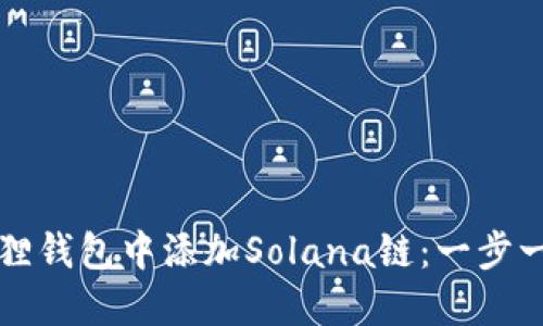 如何在狐狸钱包中添加Solana链：一步一步的指南