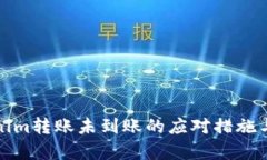 建议：  Tokenim转账未到账的应对措施与解析