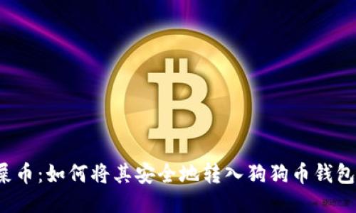 屎币：如何将其安全地转入狗狗币钱包？