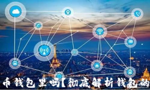 
比特币能放火币钱包里吗？彻底解析钱包的选择与安全性