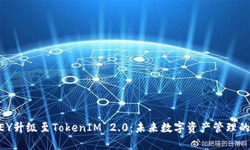 币乎KEY升级至TokenIM 2.0：未来数字资产管理的新篇章