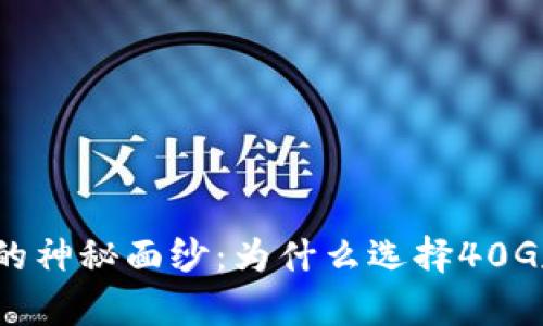 揭开比特币钱包的神秘面纱：为什么选择40G存储是明智之选？