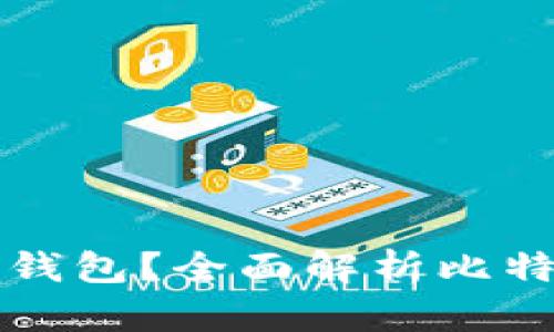 买比特币后应该选择什么钱包？全面解析比特币钱包的种类与选择指南