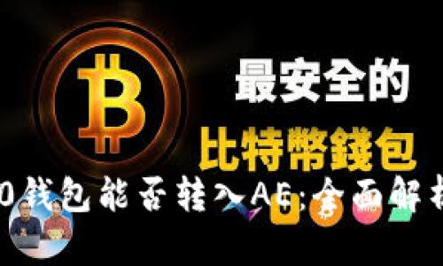 Tokenim 2.0钱包能否转入AE：全面解析与操作指南