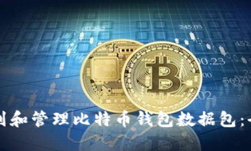 如何找到和管理比特币钱包数据包：全面指南