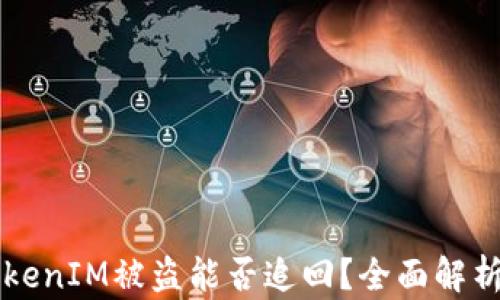 
    国内TokenIM被盗能否追回？全面解析与实用建议