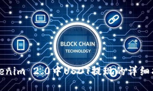 Tokenim 2.0中USDT提现的详细指南