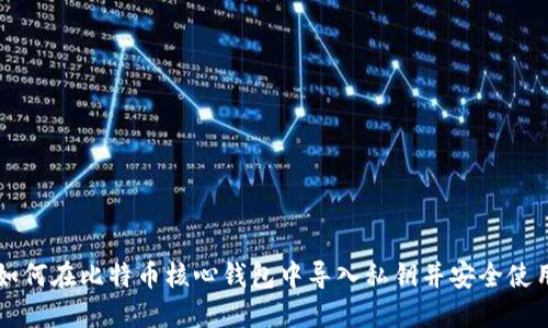 如何在比特币核心钱包中导入私钥并安全使用