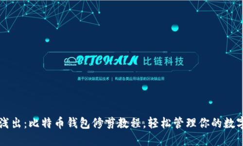 深入浅出：比特币钱包修剪教程，轻松管理你的数字资产