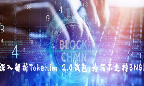 深入解析Tokenim 2.0钱包：为何不支持BNB？