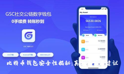 比特币钱包安全性揭秘：真相与实用建议