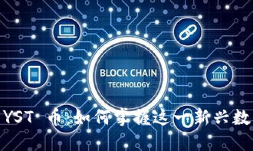 Tokenim 2.0 的 YST 币：如何掌握这一新兴数字资产的实用价值