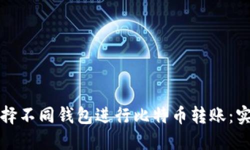 如何选择不同钱包进行比特币转账：实用指南