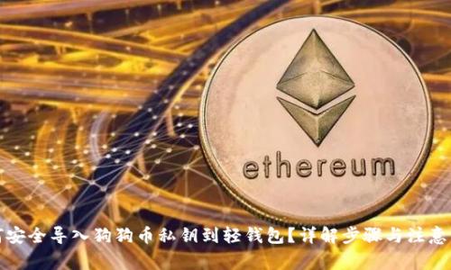 如何安全导入狗狗币私钥到轻钱包？详解步骤与注意事项