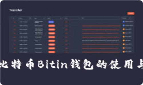 深入了解比特币Bitin钱包的使用与数据安全