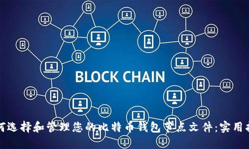 如何选择和管理您的比特币钱包节点文件：实用指南