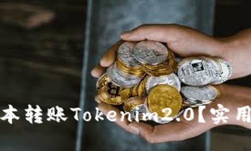 如何以低成本转账Tokenim2.0？实用指南与技巧