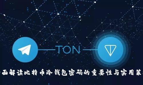 全面解读比特币冷钱包密码的重要性与实用策略