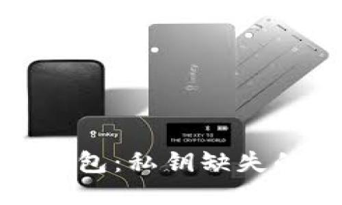 TP钱包与比特币钱包：私钥缺失的隐忧与应对策略