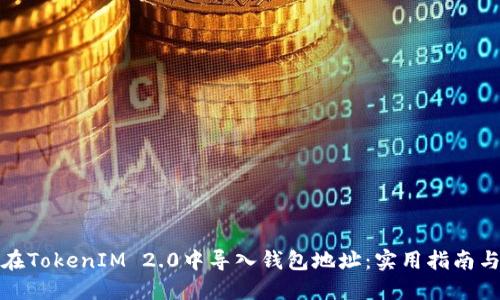 如何在TokenIM 2.0中导入钱包地址：实用指南与技巧