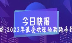 全面解析：2023年最受欢迎