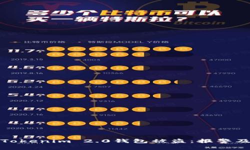 如何有效应对Tokenim 2.0钱包被盗：报警及其他解决方案