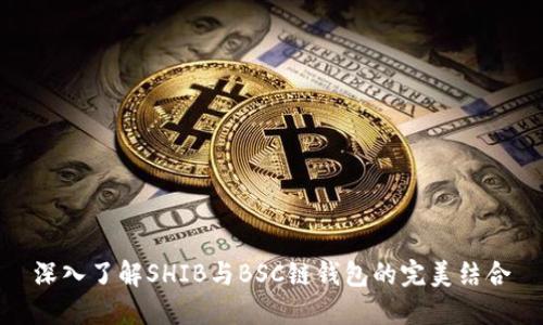 深入了解SHIB与BSC链钱包的完美结合