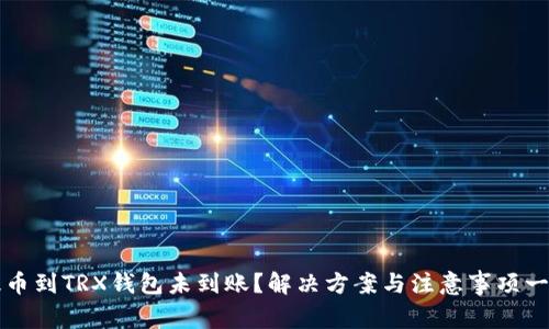 提币到TRX钱包未到账？解决方案与注意事项一览