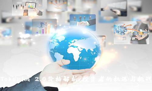 Tokenim 2.0价格解析：投资者的机遇与挑战