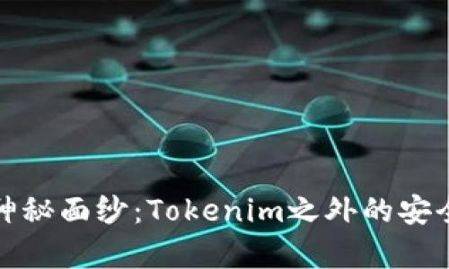 揭开冷钱包的神秘面纱：Tokenim之外的安全存储解决方案