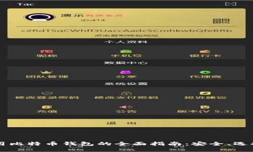 国内使用比特币钱包的全面指南：安全、选择与未来