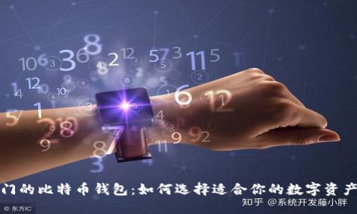 全球最热门的比特币钱包：如何选择适合你的数字资产管理工具