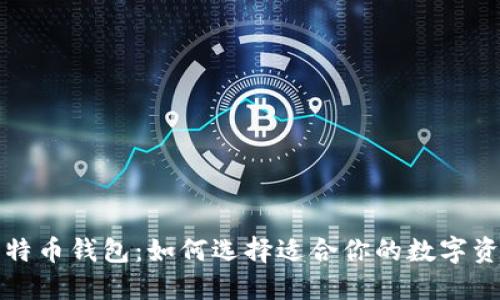 深入了解比特币钱包：如何选择适合你的数字资产管理工具