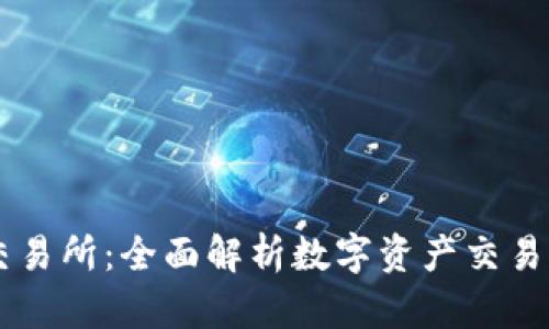 币圈十大交易所：全面解析数字资产交易平台的未来