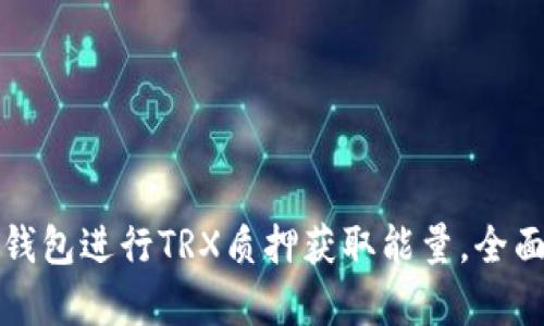 如何通过比特派钱包进行TRX质押获取能量，全面解析与技巧分享