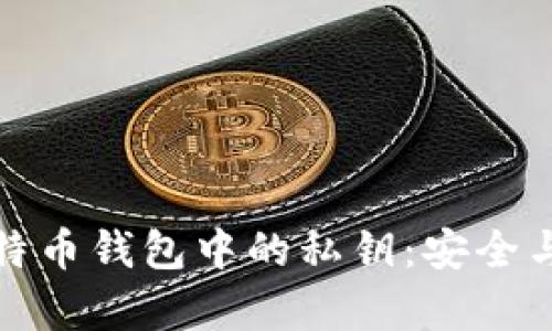 全面解析比特币钱包中的私钥：安全与管理的核心
