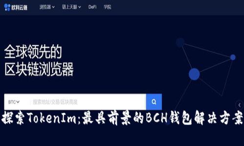 探索TokenIm：最具前景的BCH钱包解决方案