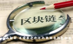 全面解析：目前最受欢迎