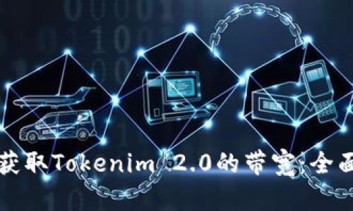 如何获取Tokenim 2.0的带宽：全面指南
