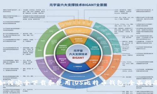 如何安全下载和使用iOS比特币钱包：全面指南