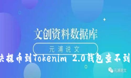 如何解决提币到Tokenim 2.0钱包查不到的问题？